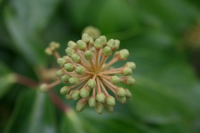 Foto de Ólvega (Soria), España