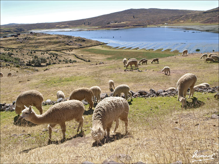Foto de Sillustani, Perú