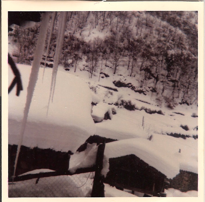 Foto de Viboli,ponga (Asturias), España