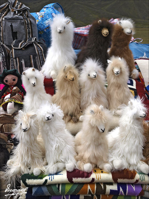 Foto de La Raya, Perú