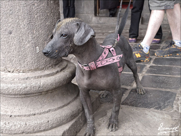 Foto de Cusco, Perú