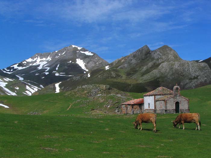 Foto de Viboli - Ponga (Asturias), España
