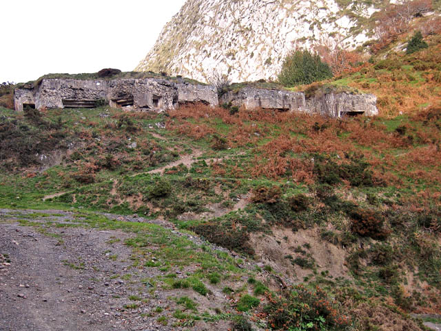 Foto de Viboli - Ponga (Asturias), España