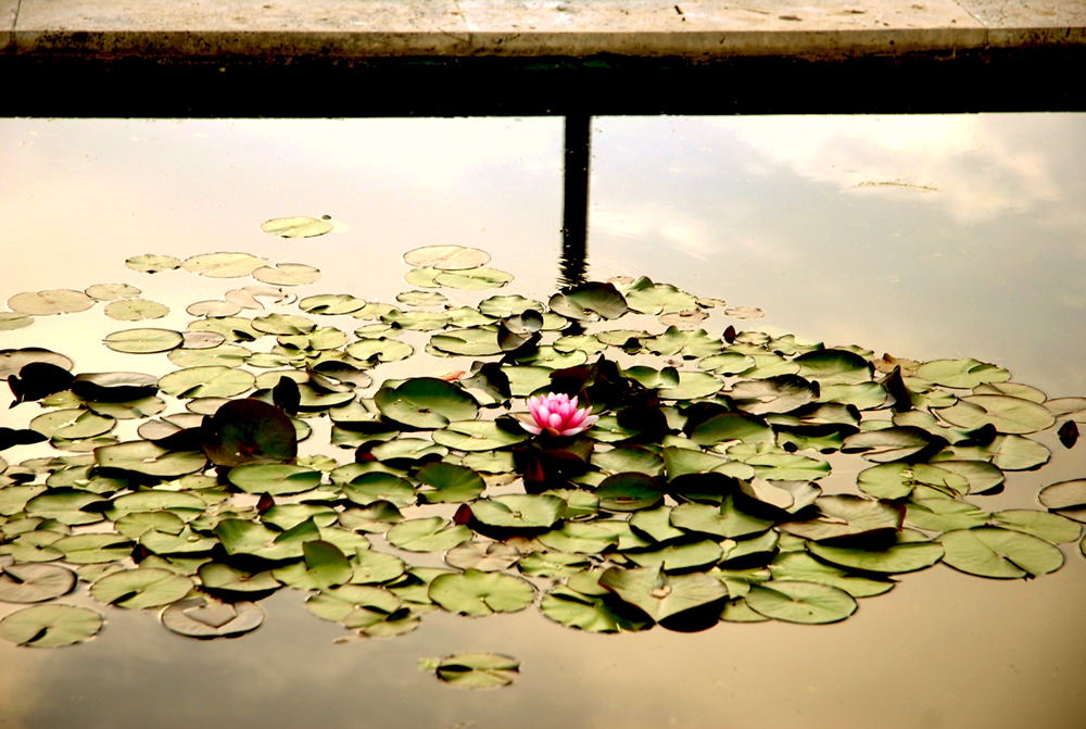 Foto de Madrid (Comunidad de Madrid), España