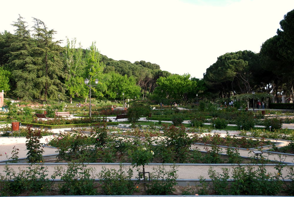 Foto de Madrid (Comunidad de Madrid), España