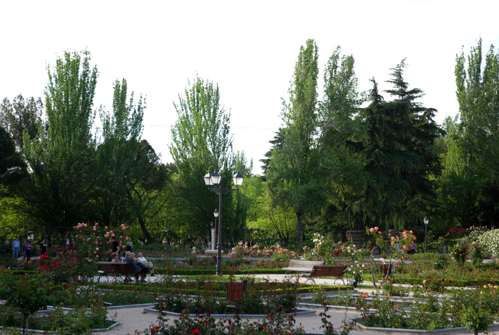 Foto de Madrid (Comunidad de Madrid), España