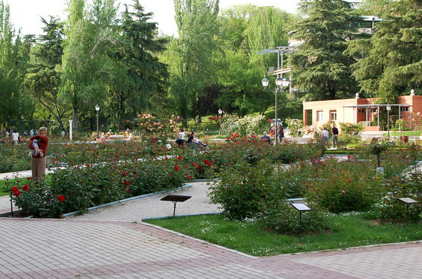 Foto de Madrid (Comunidad de Madrid), España