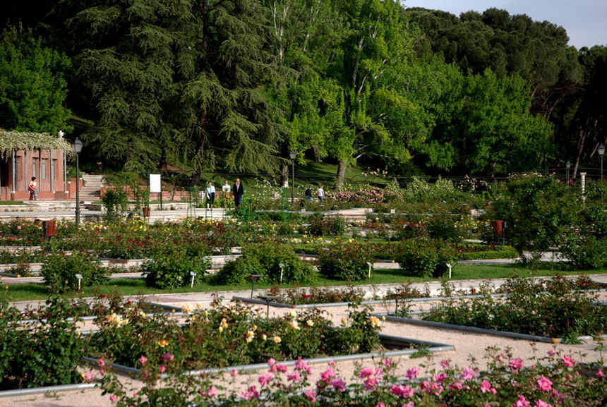 Foto de Madrid (Comunidad de Madrid), España