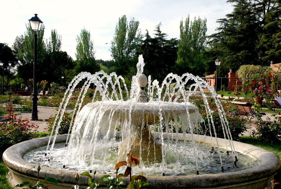 Foto de Madrid (Comunidad de Madrid), España