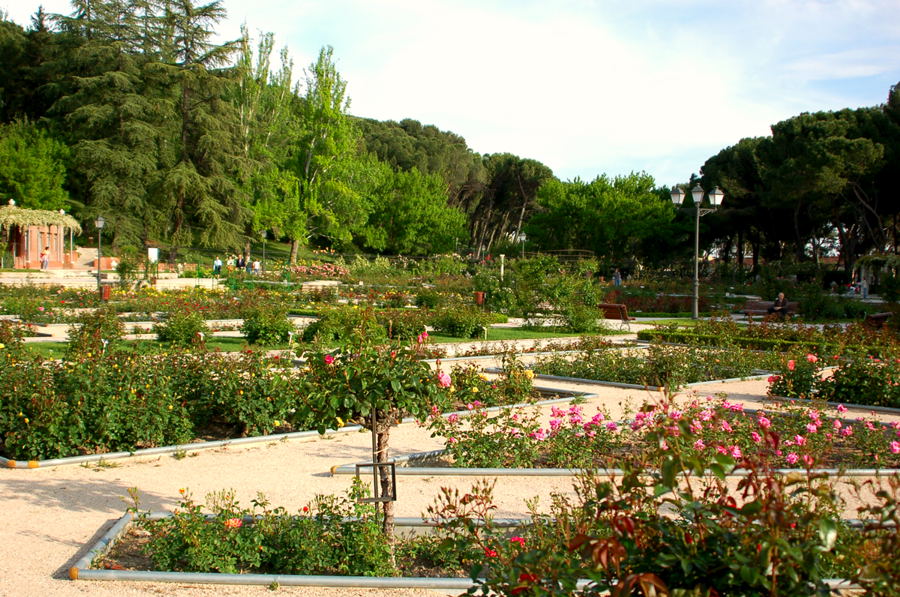 Foto de Madrid (Comunidad de Madrid), España