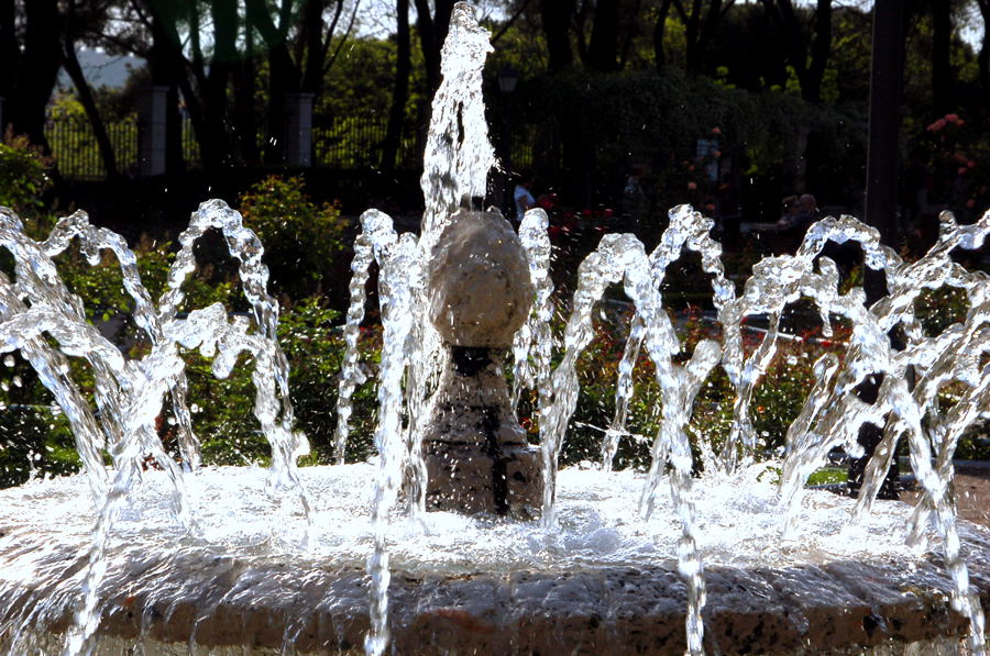 Foto de Madrid (Comunidad de Madrid), España