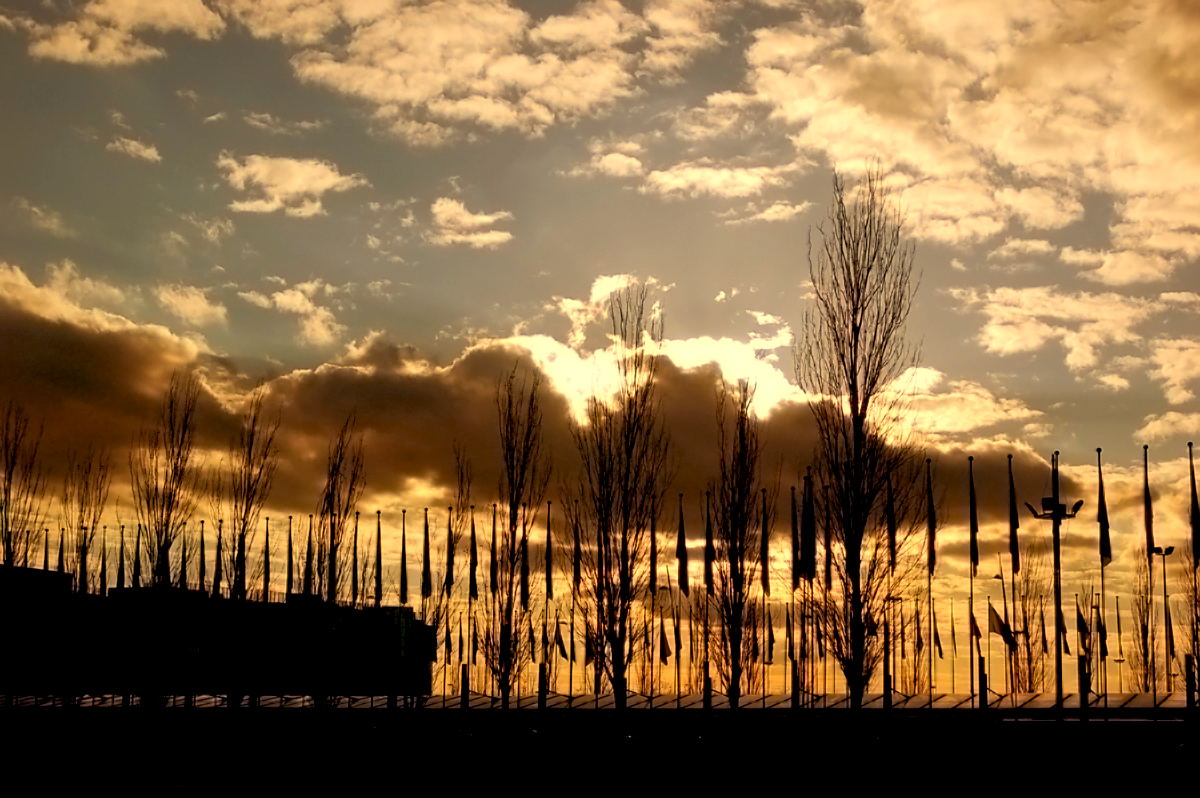 Foto de Madrid (Comunidad de Madrid), España