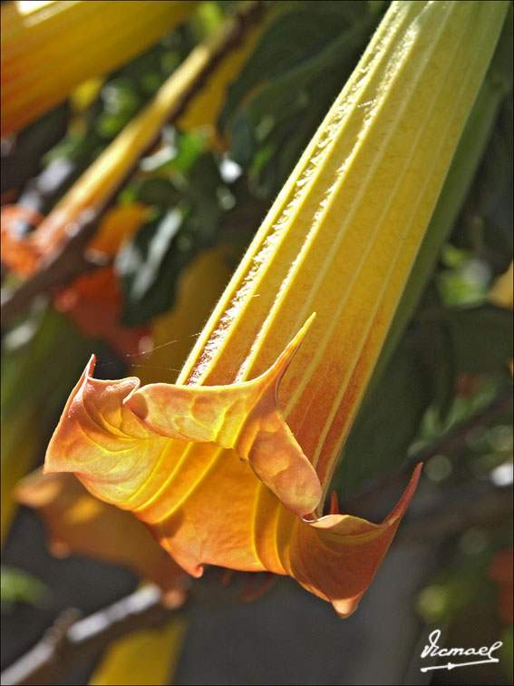 Foto de Urubamba, Perú