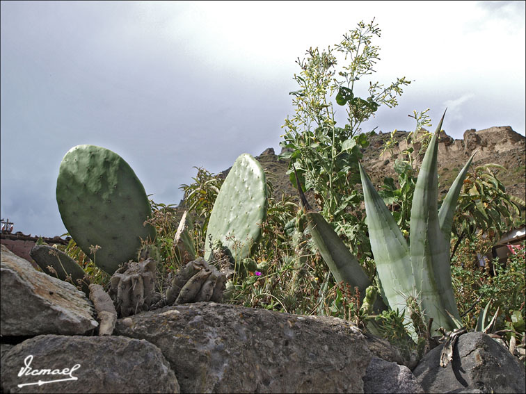 Foto de Ollantaytambo, Perú