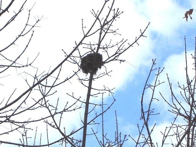 Foto de Buenos Aires, Argentina