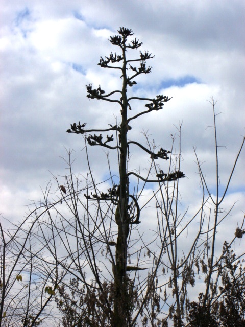 Foto de Buenos Aires, Argentina