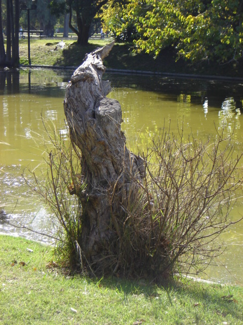 Foto de Buenos Aires, Argentina