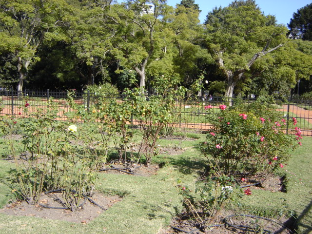 Foto de Buenos Aires, Argentina