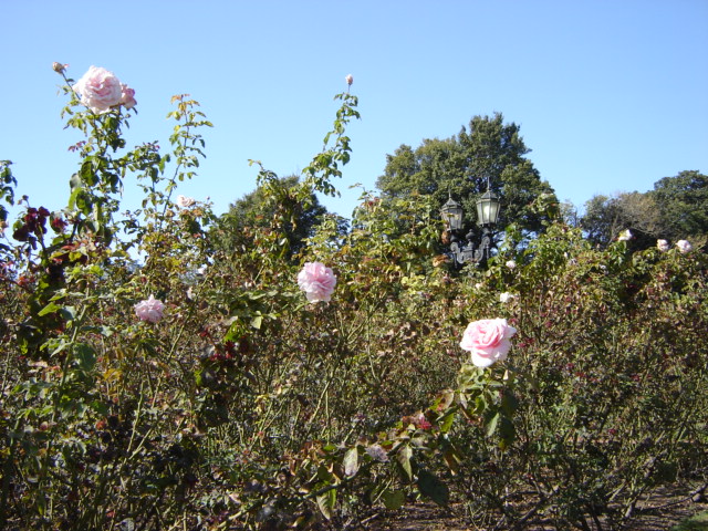 Foto de Buenos Aires, Argentina
