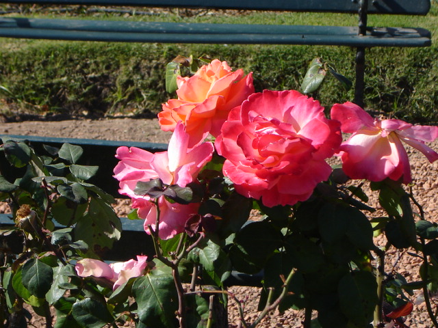 Foto de Buenos Aires, Argentina