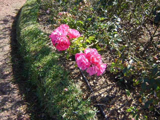 Foto de Buenos Aires, Argentina