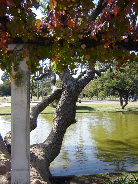 Foto de Buenos Aires, Argentina