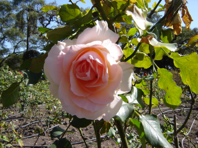 Foto de Buenos Aires, Argentina