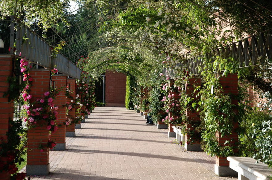 Foto de Madrid (Comunidad de Madrid), España