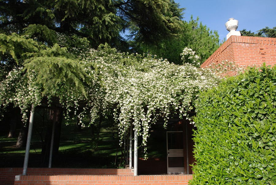 Foto de Madrid (Comunidad de Madrid), España
