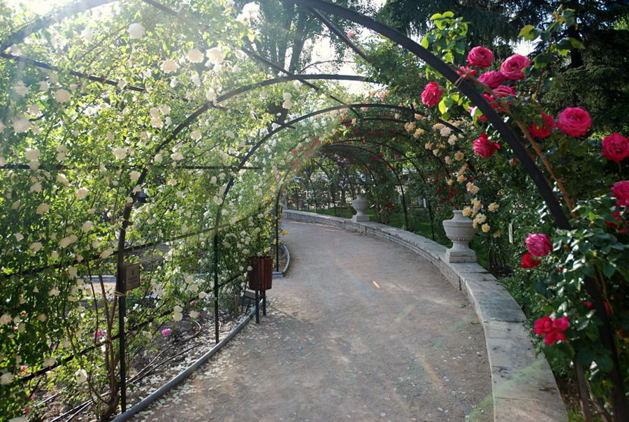 Foto de Madrid (Comunidad de Madrid), España