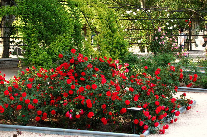 Foto de Madrid (Comunidad de Madrid), España