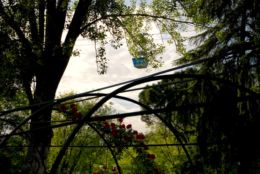 Foto de Madrid (Comunidad de Madrid), España