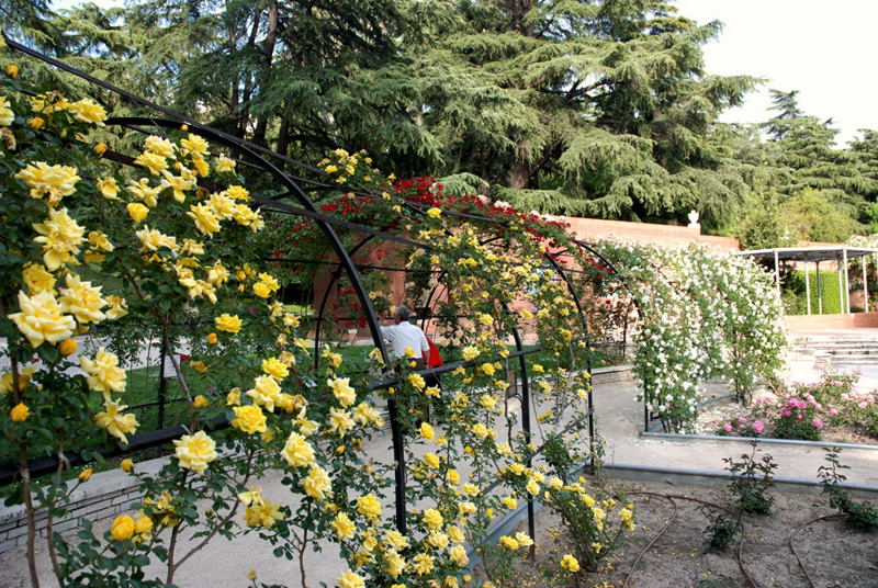 Foto de Madrid (Comunidad de Madrid), España