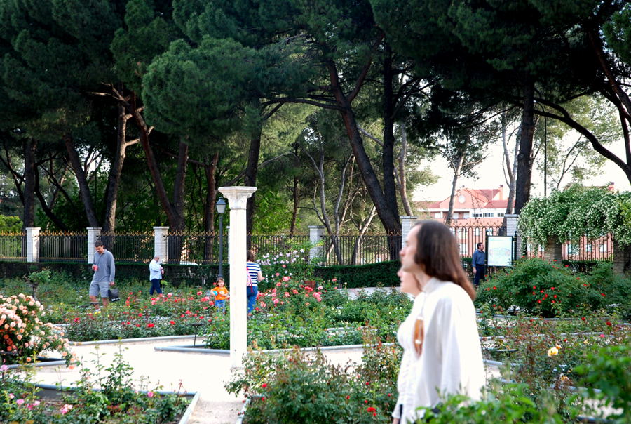 Foto de Madrid (Comunidad de Madrid), España