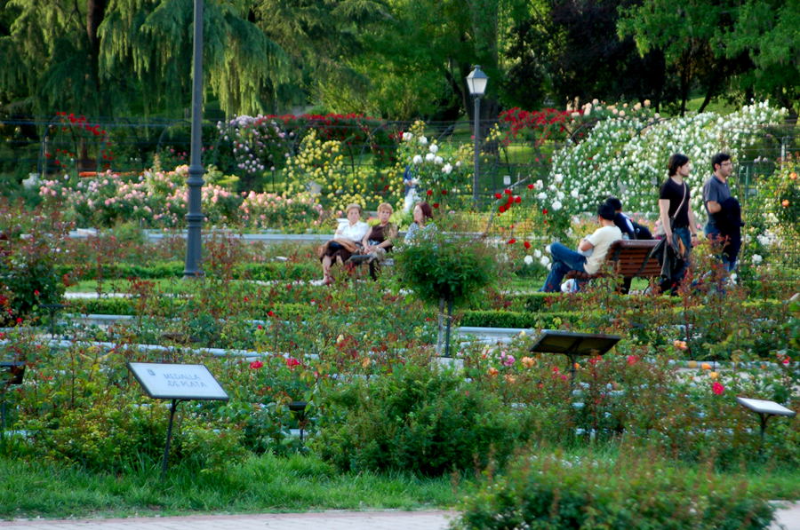 Foto de Madrid (Comunidad de Madrid), España