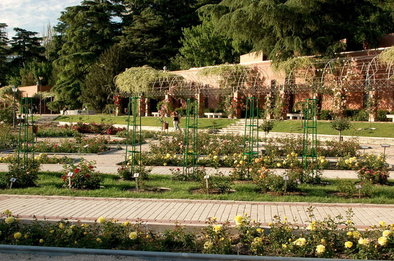 Foto de Madrid (Comunidad de Madrid), España