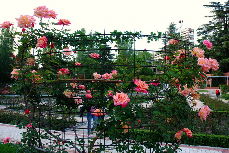 Foto de Madrid (Comunidad de Madrid), España