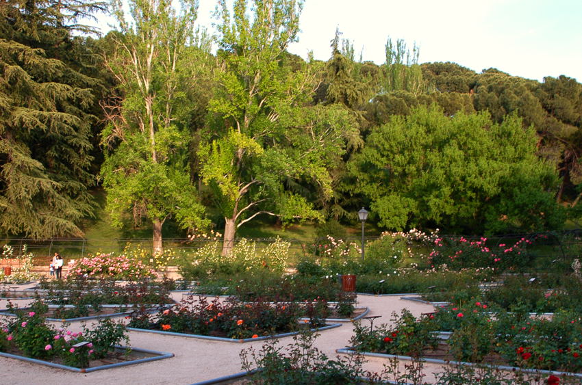 Foto de Madrid (Comunidad de Madrid), España