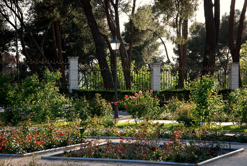 Foto de Madrid (Comunidad de Madrid), España