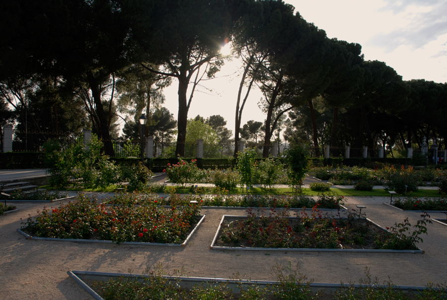 Foto de Madrid (Comunidad de Madrid), España