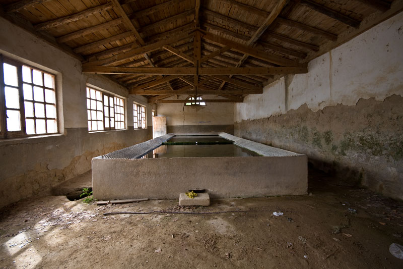 Foto de Miñana (Soria), España