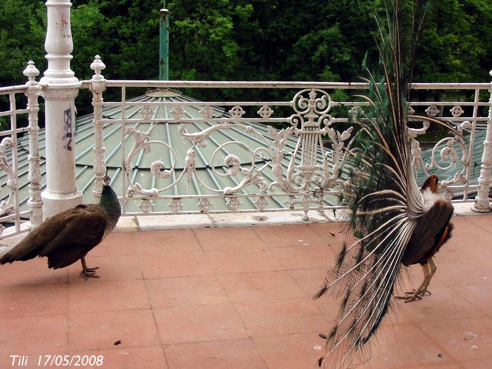 Foto de Oviedo (Asturias), España