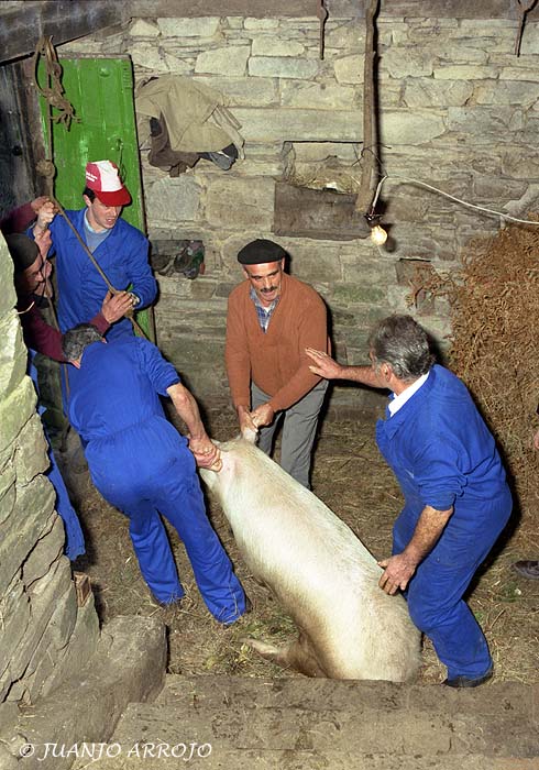 Foto de Asturias, España