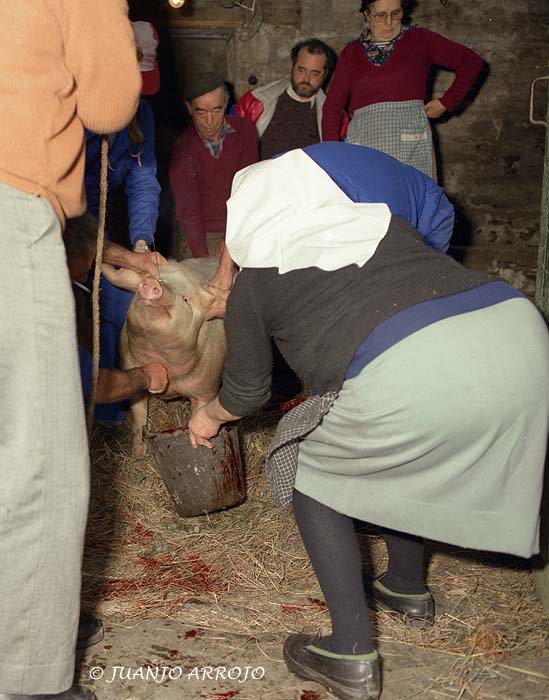 Foto de Asturias, España
