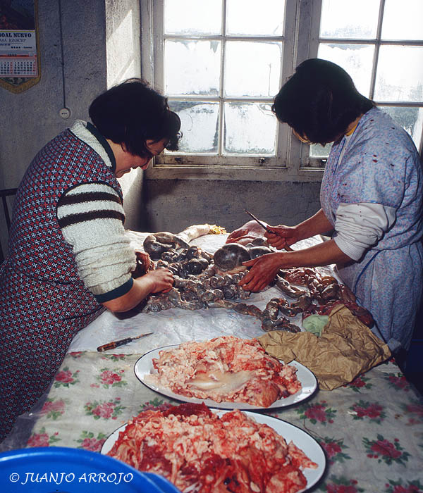 Foto de Asturias, España