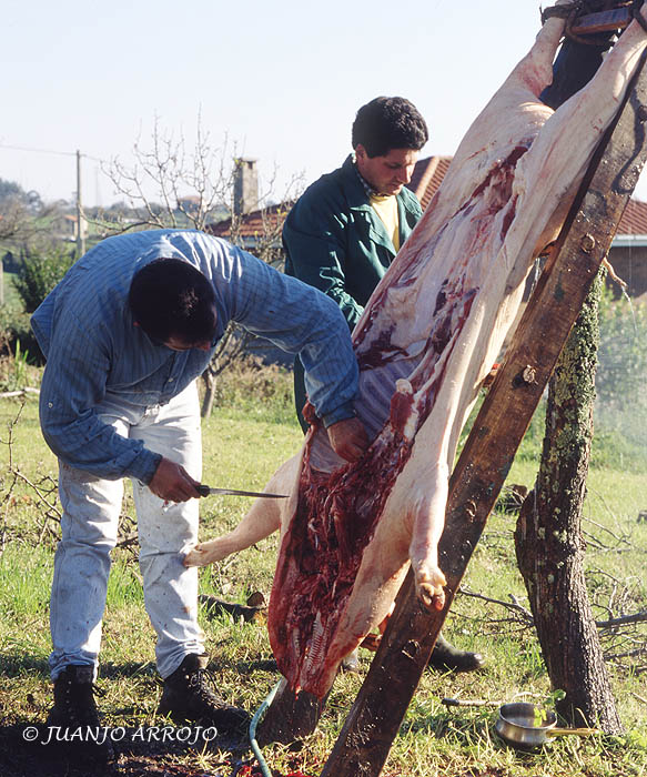 Foto de Asturias, España