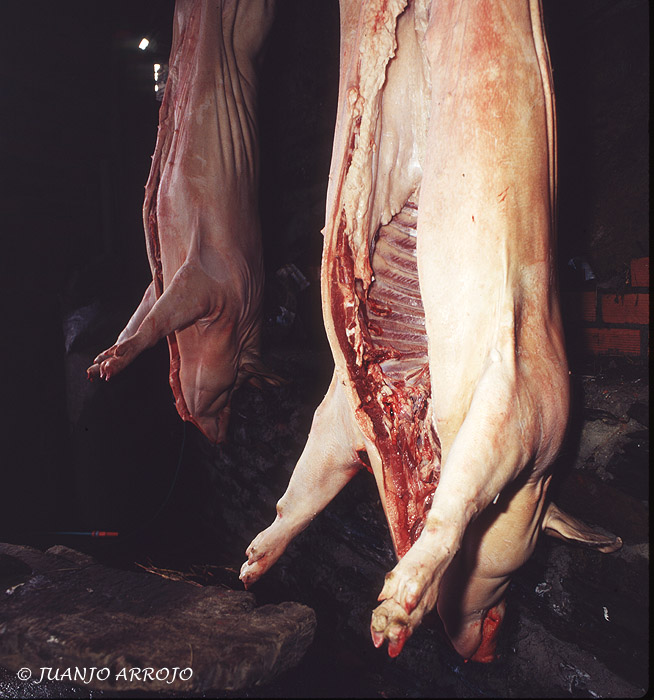 Foto de Asturias, España