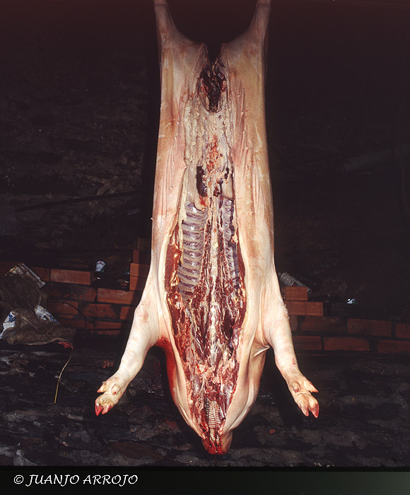 Foto de Asturias, España