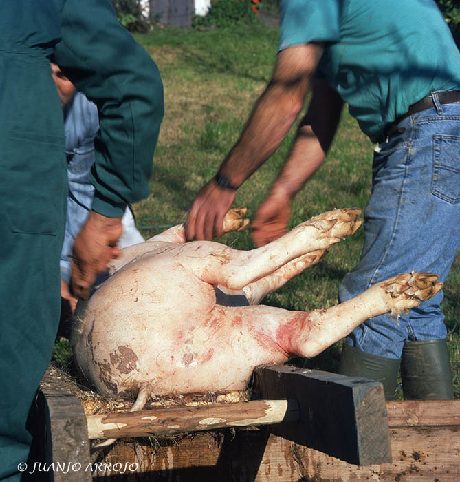 Foto de Asturias, España