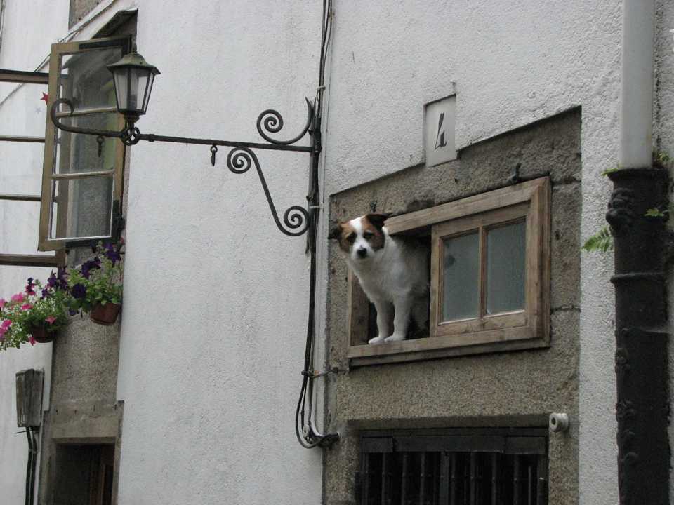 Foto de Santiago (A Coruña), España
